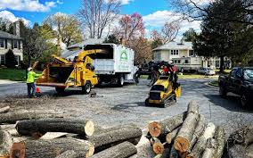 Best Tree Health Inspection  in Kenvil, NJ