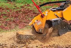 Reliable Kenvil, NJ Tree Removal Solutions