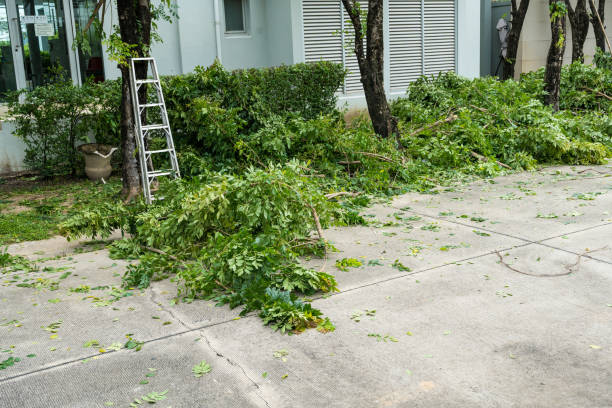 How Our Tree Care Process Works  in  Kenvil, NJ