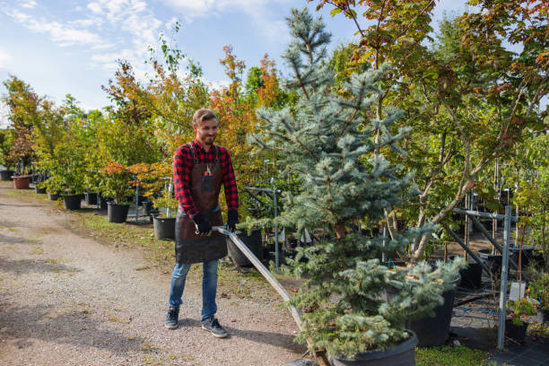Best Tree Preservation Services  in Kenvil, NJ