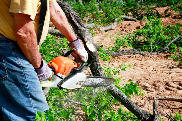 Best Lawn Pest Prevention  in Kenvil, NJ